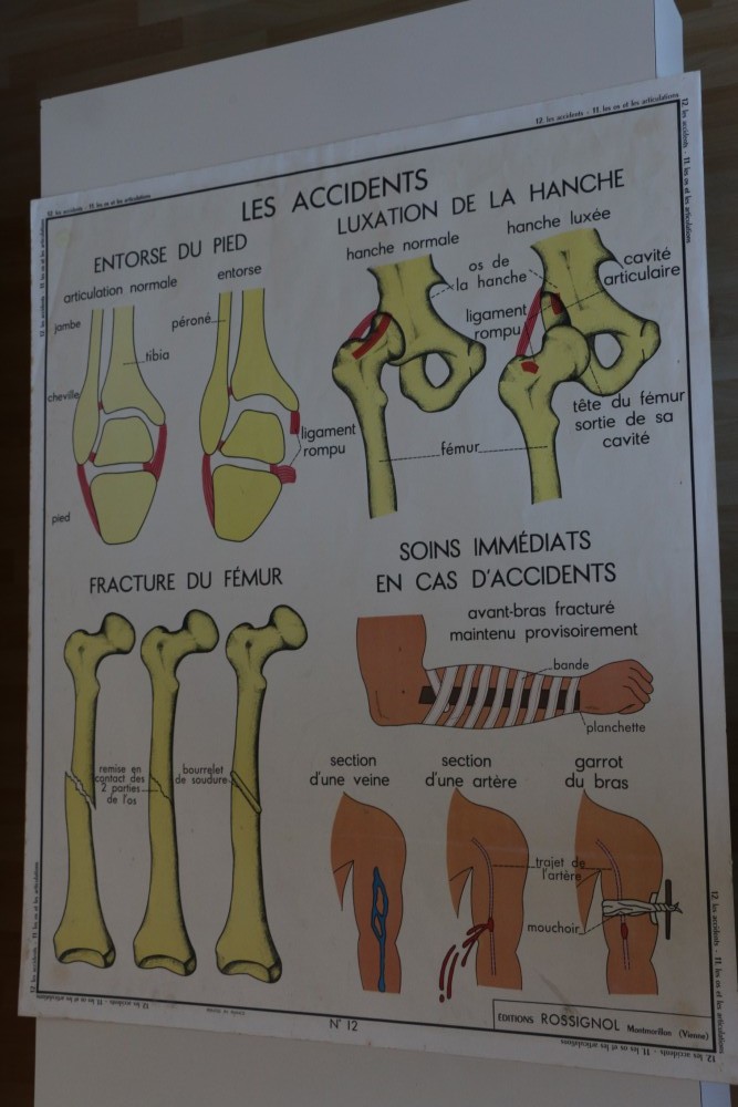 Cartes ROSSIGNOL (médicales)